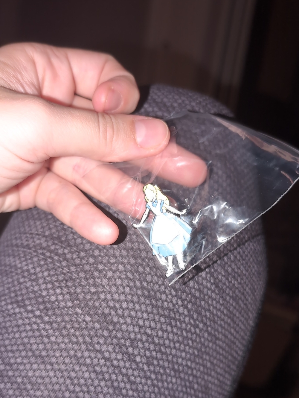 2$ Add On⭐ Alice In Wonderland- Alice Pin